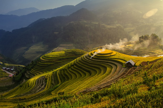 Terraced rice fields