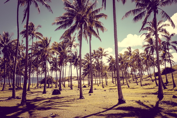 Anakena palm beach and Moais statues site ahu Nao Nao, easter island