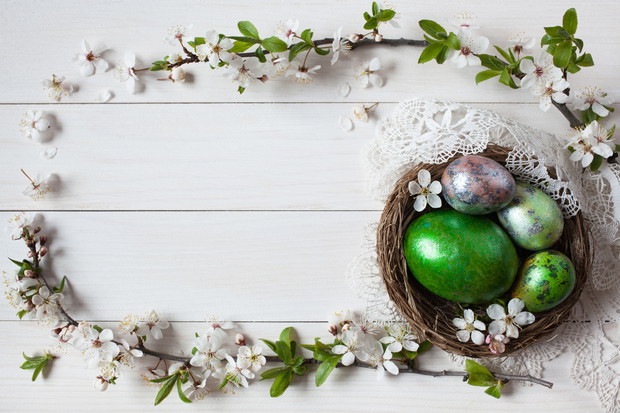Easter background with a nest, eggs and branch with flowers