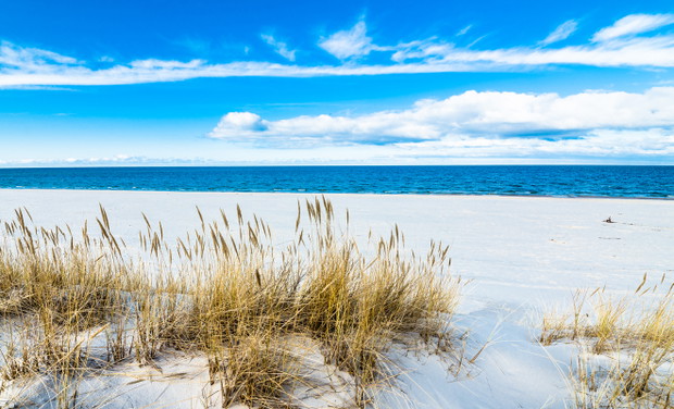 Sea landscape with sandy dunes and grass