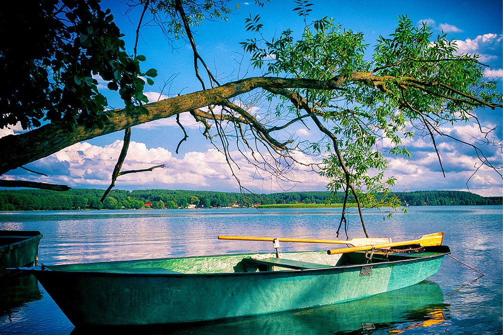 Mazury