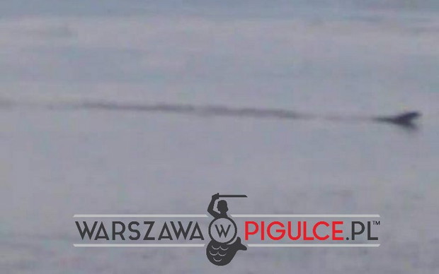 imgS7NFvu-541eddc