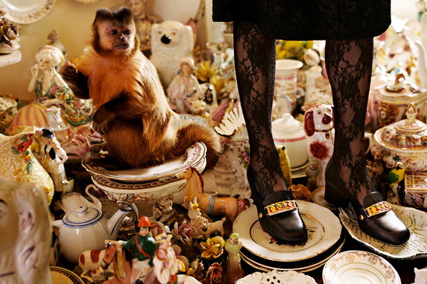 La campagne Automne Hiver de Gucci our differents collectionneurs posent avec leurs collections
