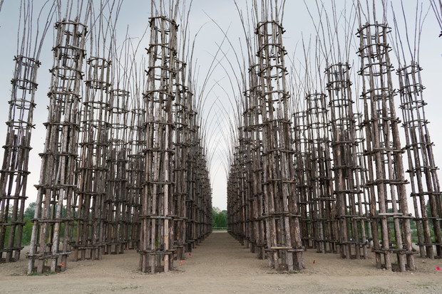 Vegetable cathedral in Lodi, Italy
