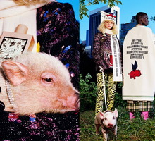 kampania Gucci, Chinese New Year, kolekcja kapsułowa Year of the Pig
