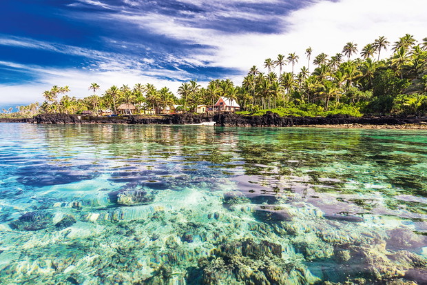 Coral reef lagoon with palm trees on the beach, south side of Up