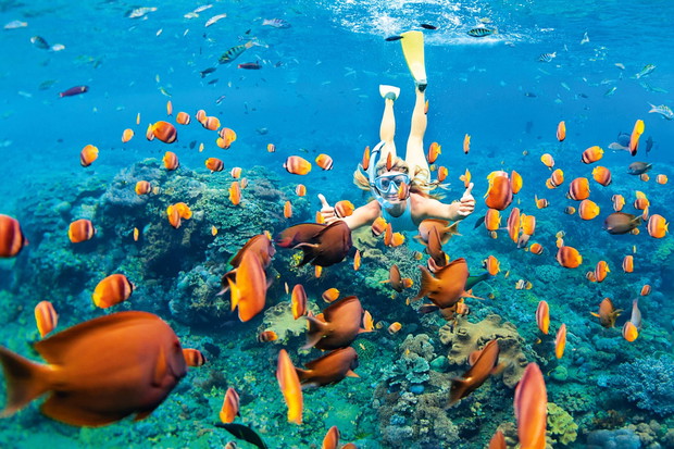 Happy family - girl in snorkeling mask dive underwater with trop