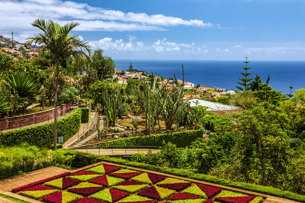 Tropical Botanical Gardens in Funchal, Madeira island, Portugal