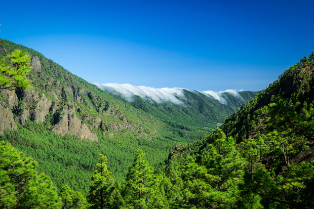 "Cumbre Nueva" at La Palma, Canary Islands