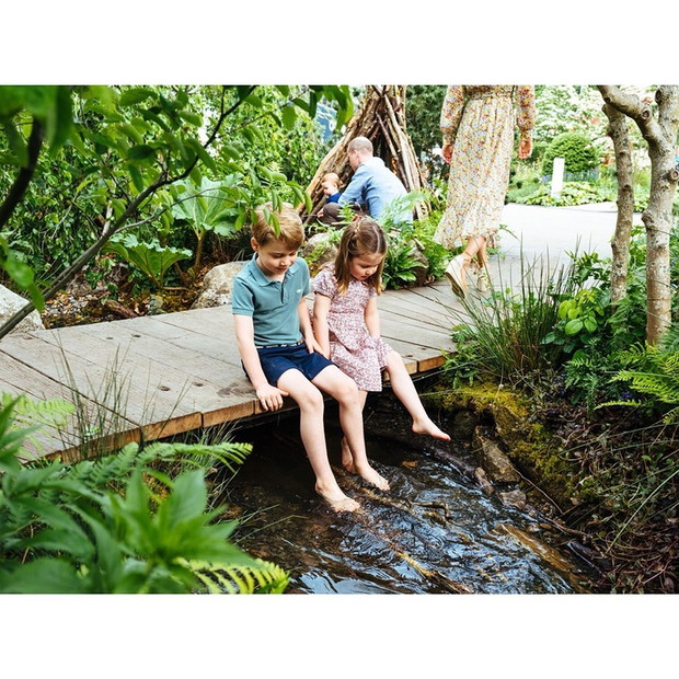 img2WTwEo-04657fd