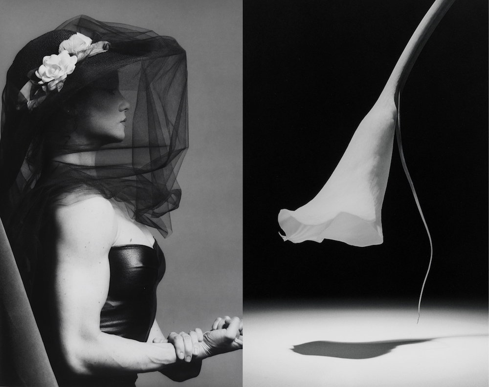 Wystawa Fotografii Robert Mapplethorpe w nowojorskim Guggenheim Museum