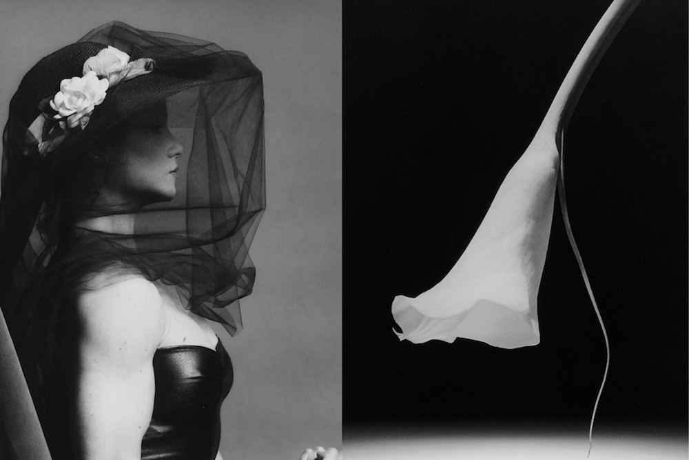 Wystawa Fotografii Robert Mapplethorpe w nowojorskim Guggenheim Museum