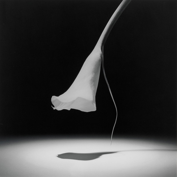 Robert Mapplethorpe