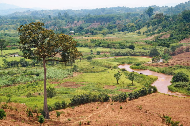 African Landscape with river