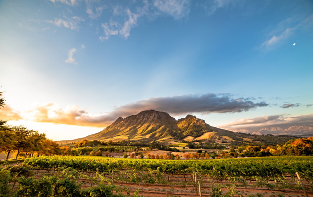 Wine region near Stellenbosch looking at Simonsberg in South Africa