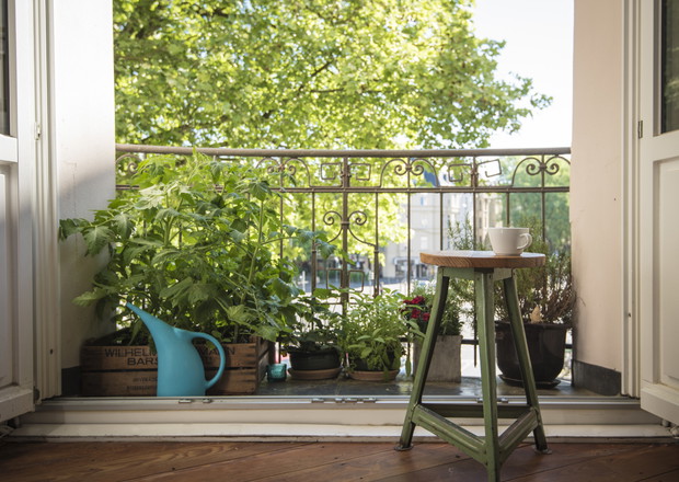 Urban Gardening