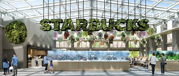 Zielony Starbucks
