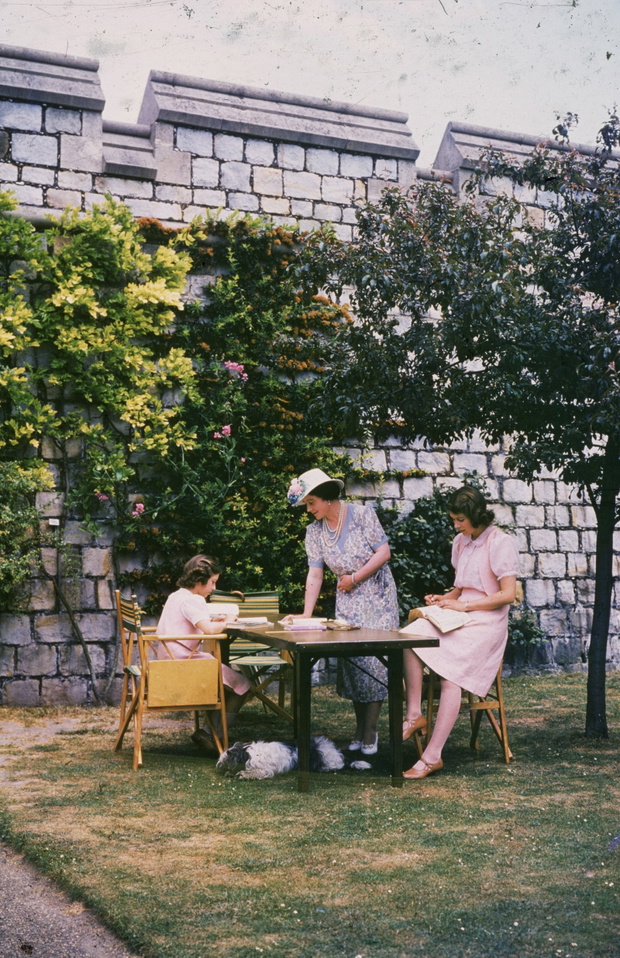 Royal Tuition