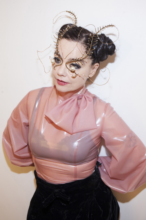 Bjork Digital Media Preview