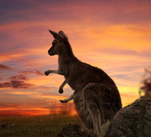 Dzień Australii