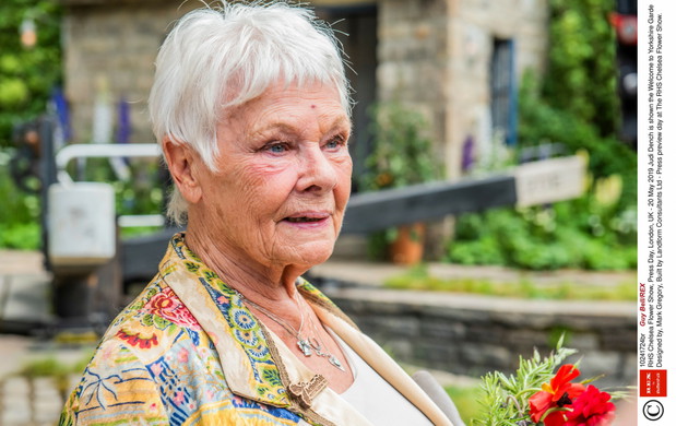 Judy Dench na Chelsea Flower Show