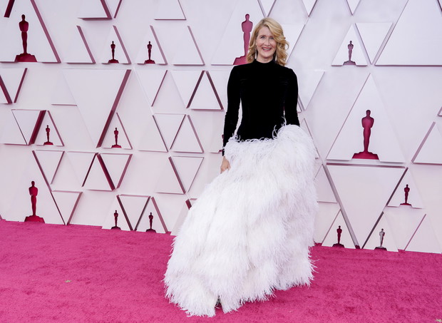 93rd Annual Academy Awards - Arrivals