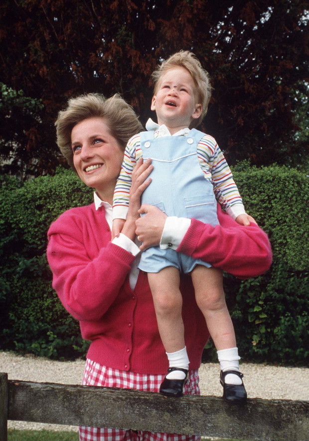 Diana Harry At Highgrove