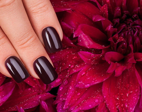 bordo2