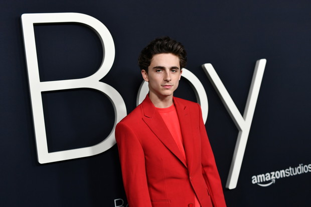 Amazon Studios Los Angeles Premiere Of "Beautiful Boy" - Red Carpet