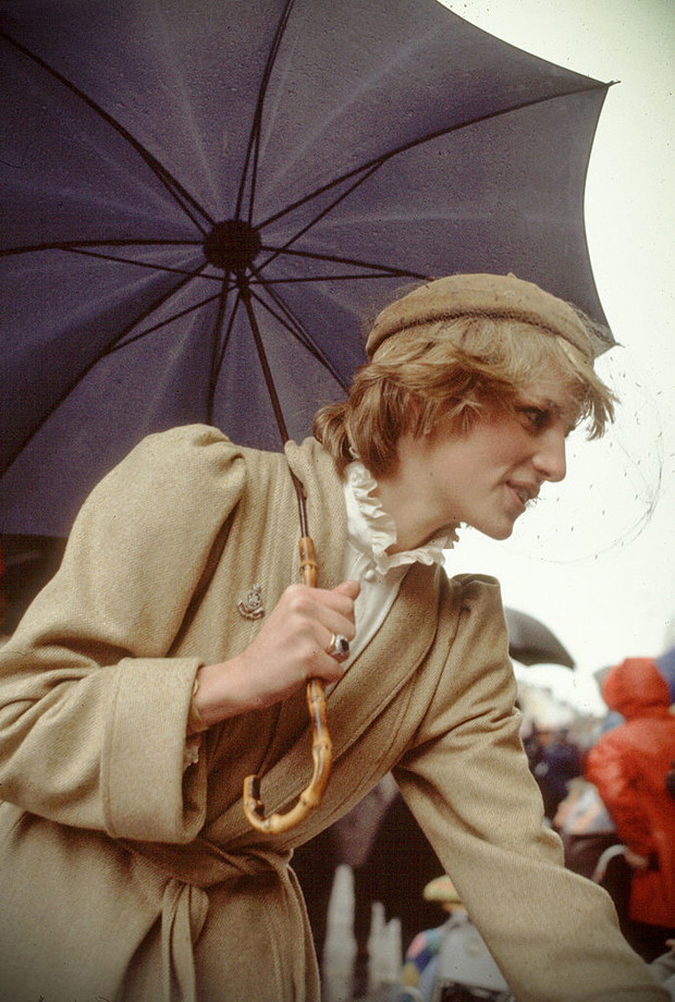 Diana In Camarthen