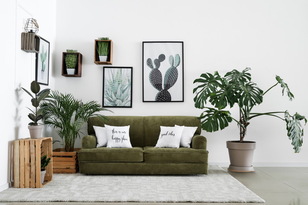 Interior of modern room with comfortable sofa and houseplants