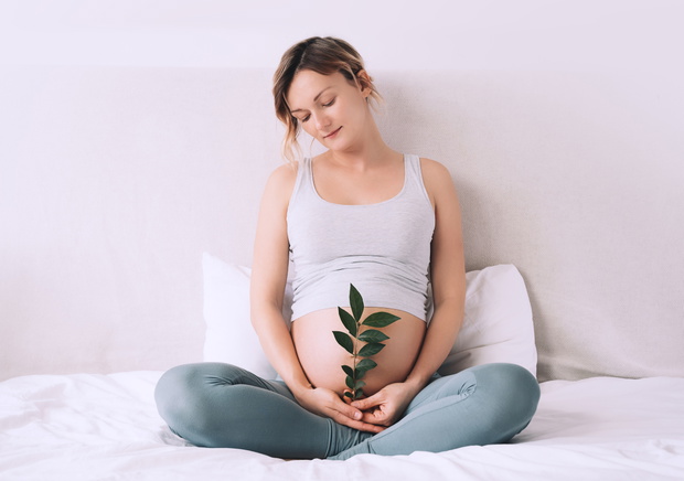 Pregnant woman holds green sprout plant near her belly as symbol