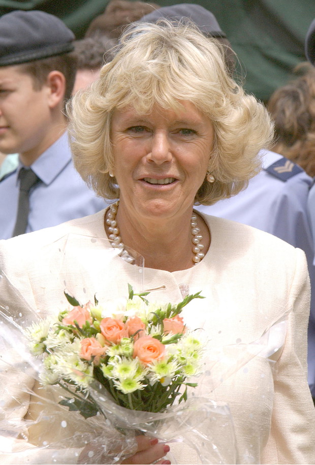 The 2003 Sandringham Flower Show