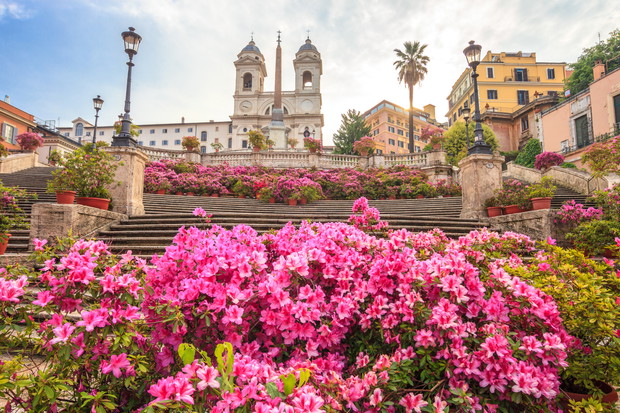 Spanish steps with azaleas at sunrise, Rome