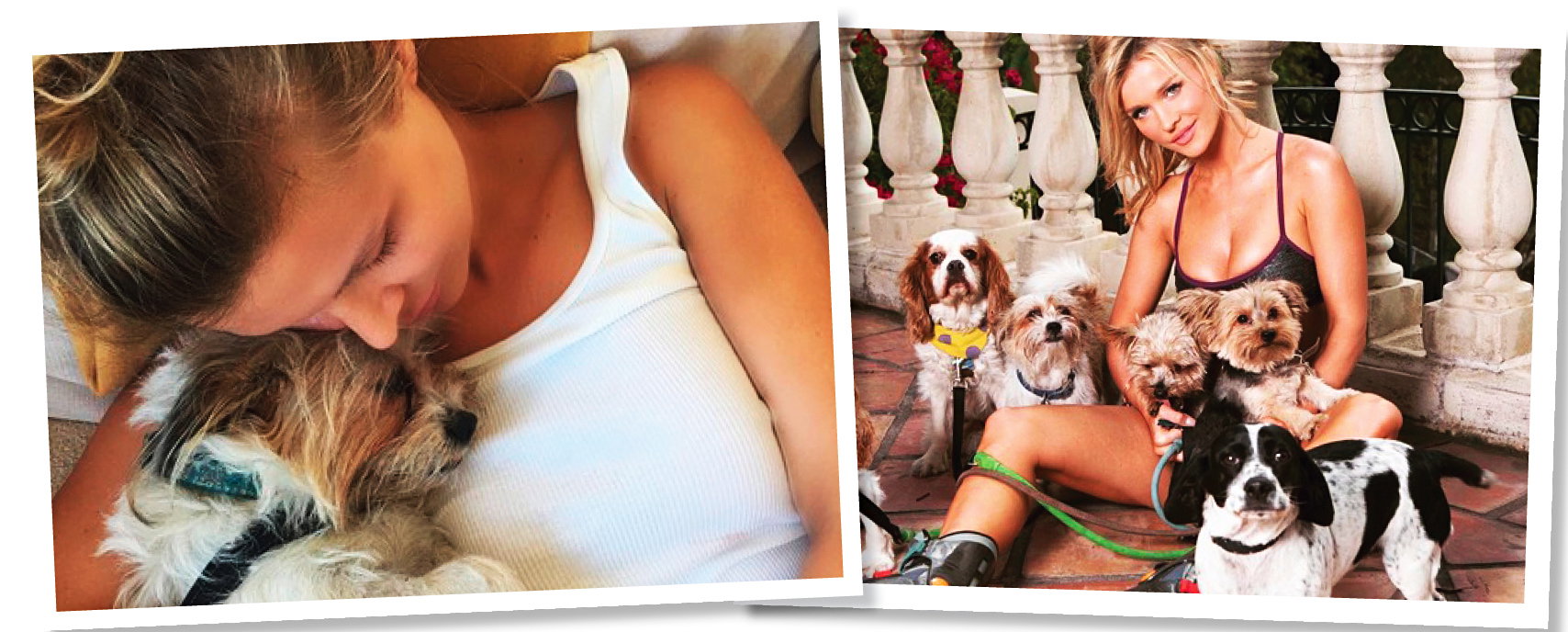 Joanna Krupa, „Misja Pies’’, TVN