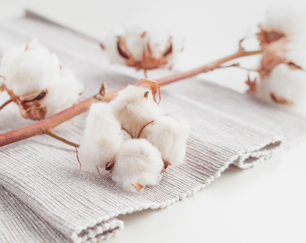 jamm2