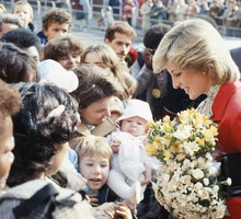 Księżna Diana fani
