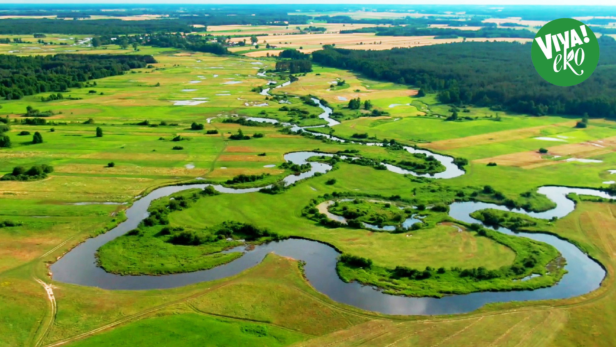widoczek3