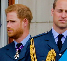 Książę Harry, książę William