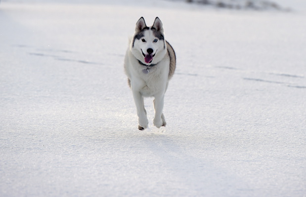 Snow And High Winds Hit The UK