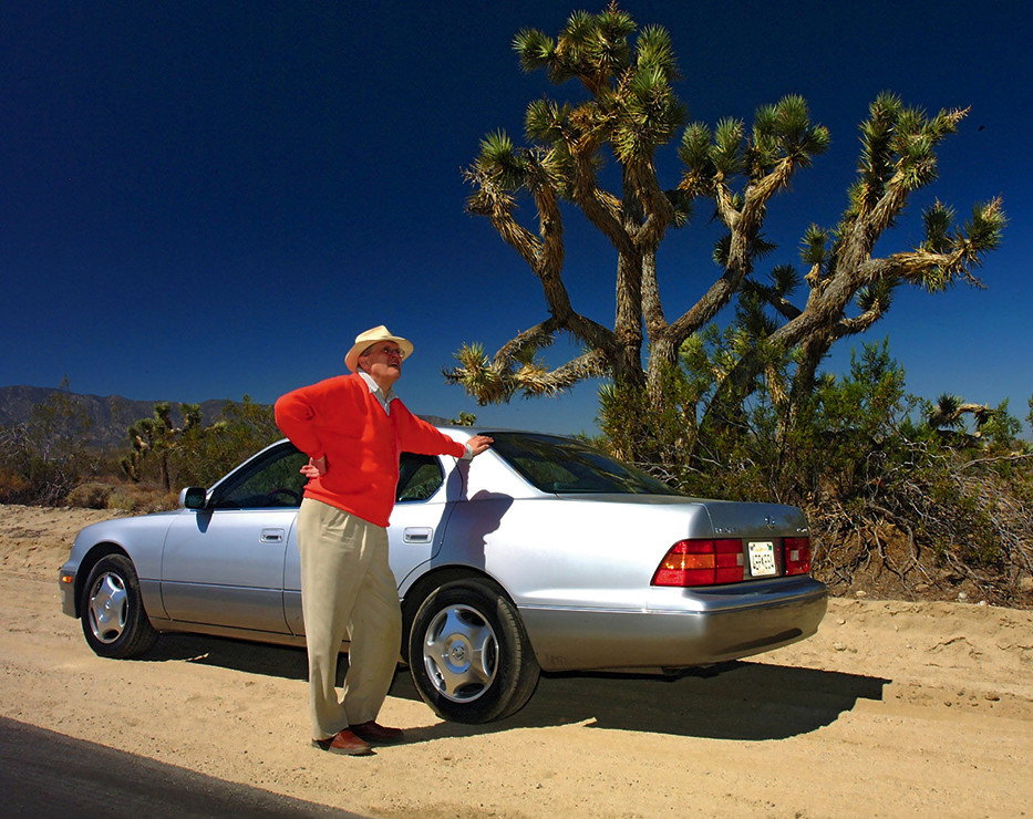 hockney2