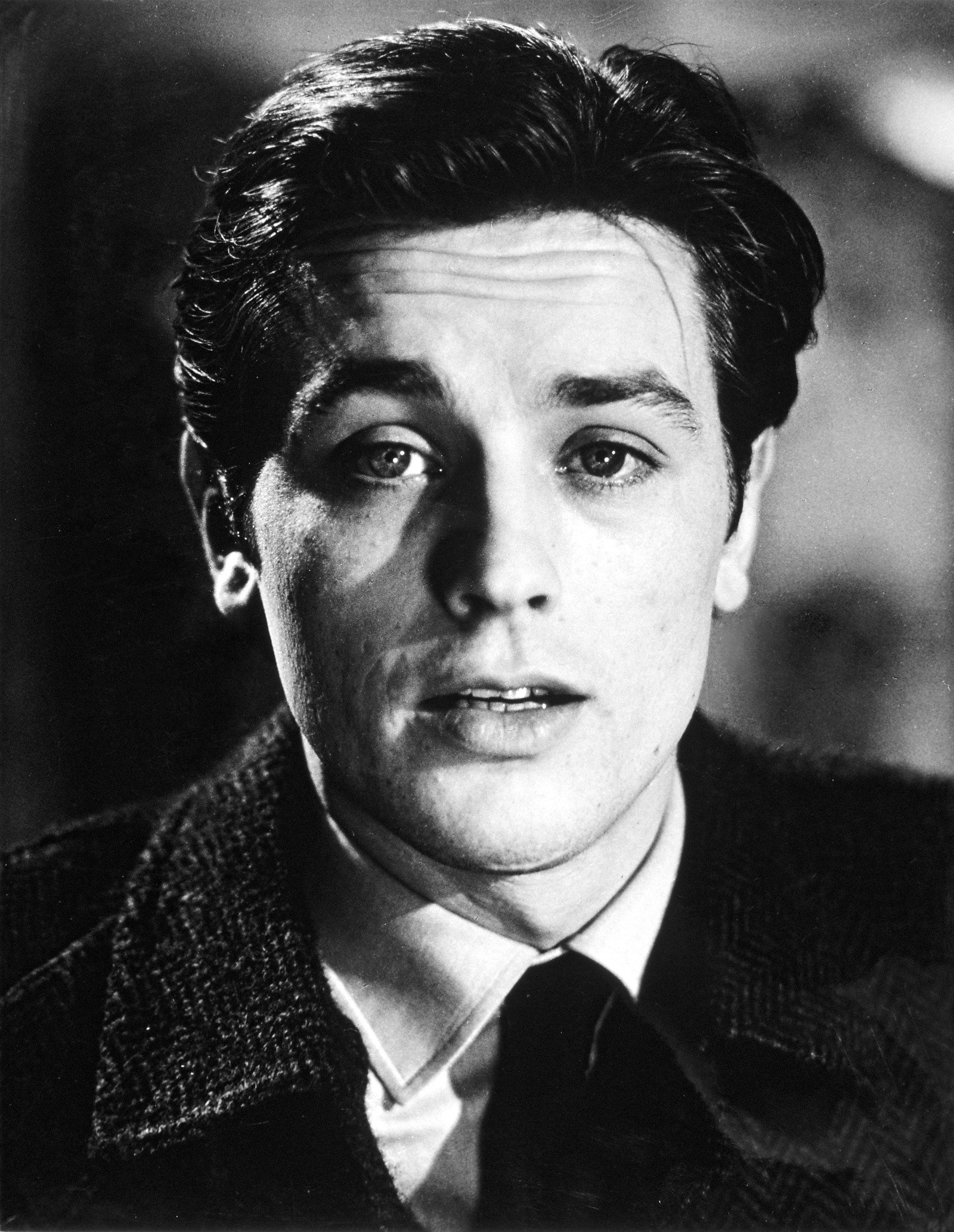 Portrait of French Actor Alain Delon, c.1960 (b/w photo)