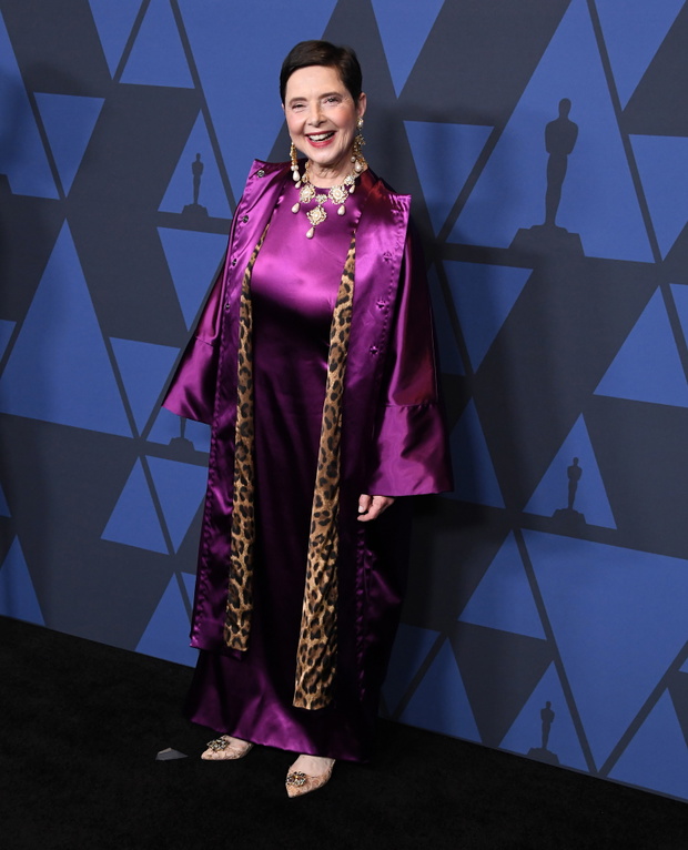 Academy Of Motion Picture Arts And Sciences' 11th Annual Governors Awards - Arrivals