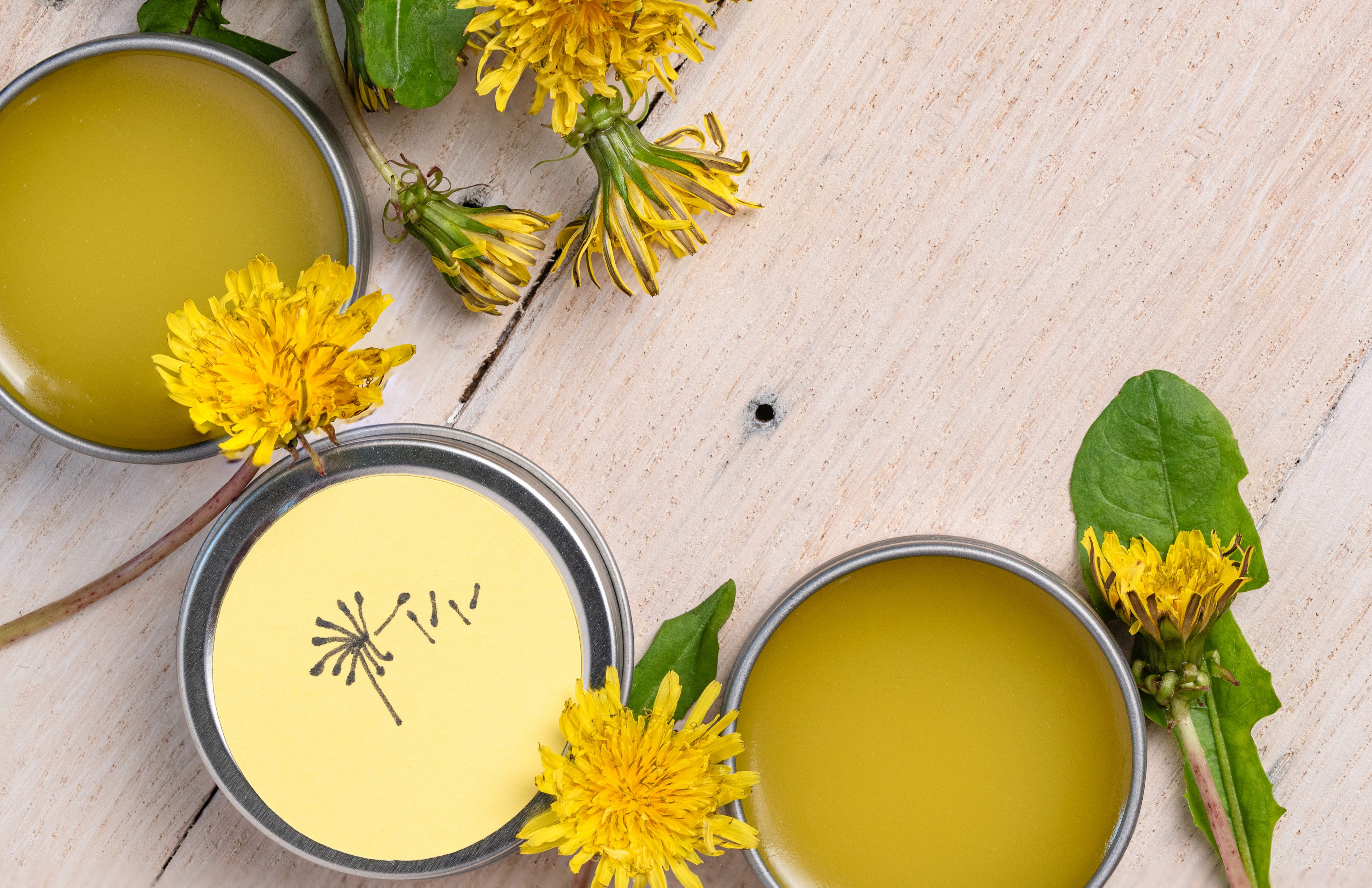 Dandelion salve, shea butter, beeswax, flowers and leaves on whitewashed tray.