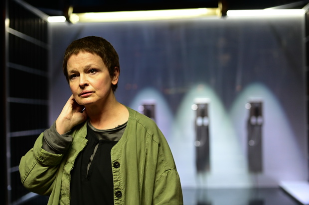 Polowanie na Osy