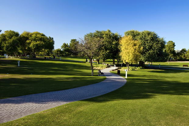 View of beautiful park