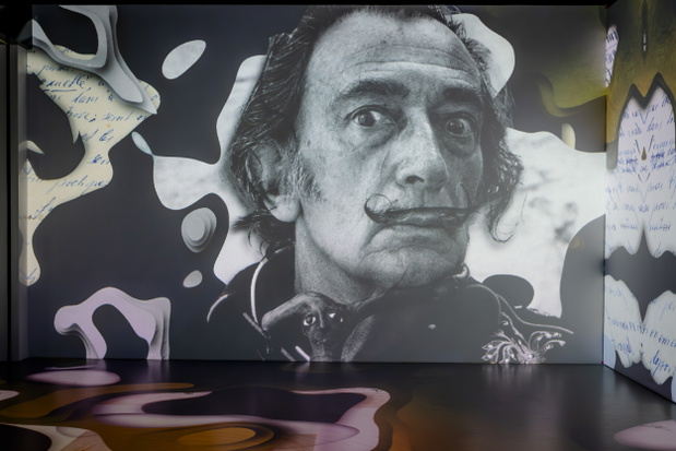 dali_cybernetics09