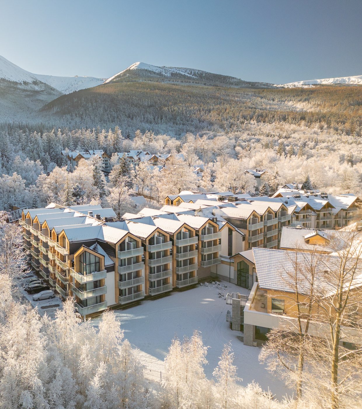 GREEN MOUNTAIN - ZIMA 1