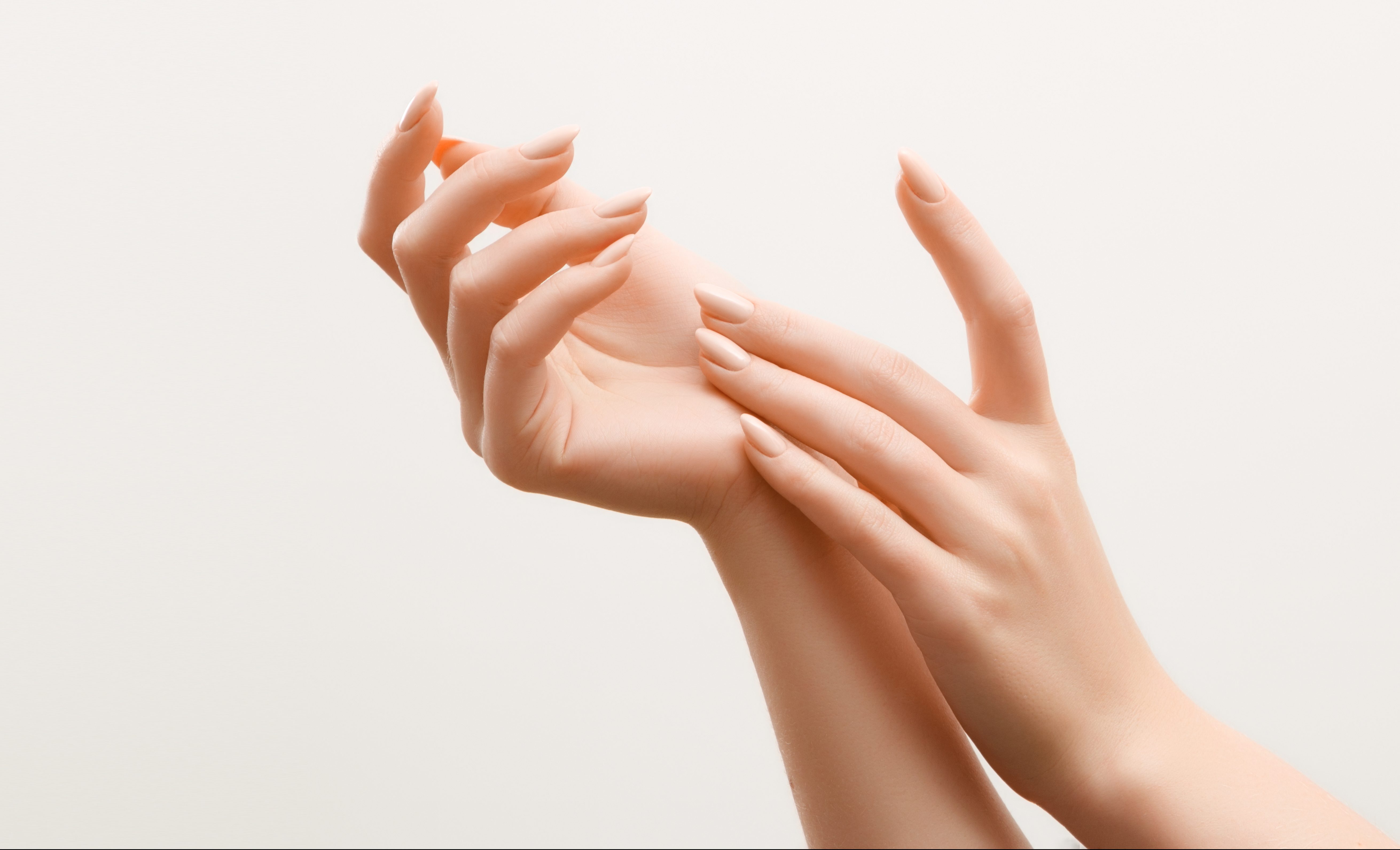 Beautiful Woman Hands. Female Hands Applying Cream, Lotion. Spa and Manicure concept. Female hands with french manicure. Soft skin, skincare concept. Hand Skin Care.