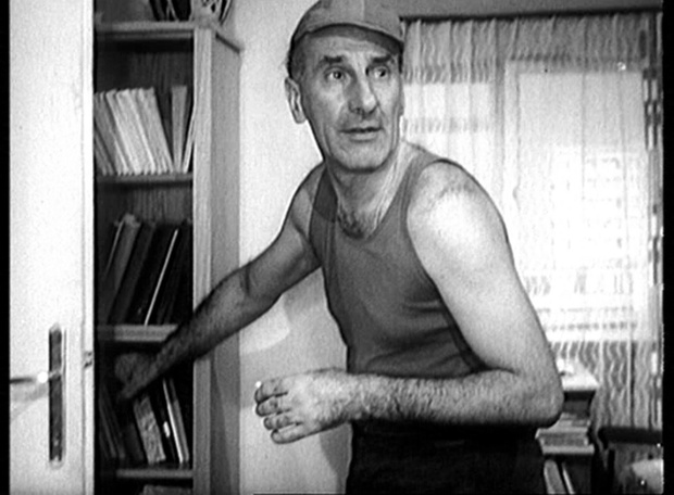 Wojna domowa